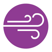 mwi wind purple 01